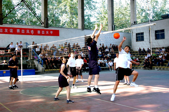 塑胶球场多少钱一平方？